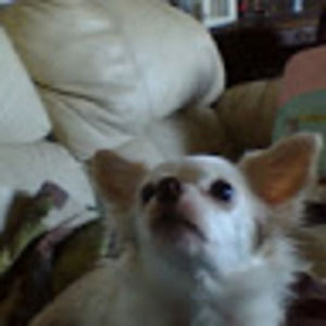 Meet your Posher, Hailey